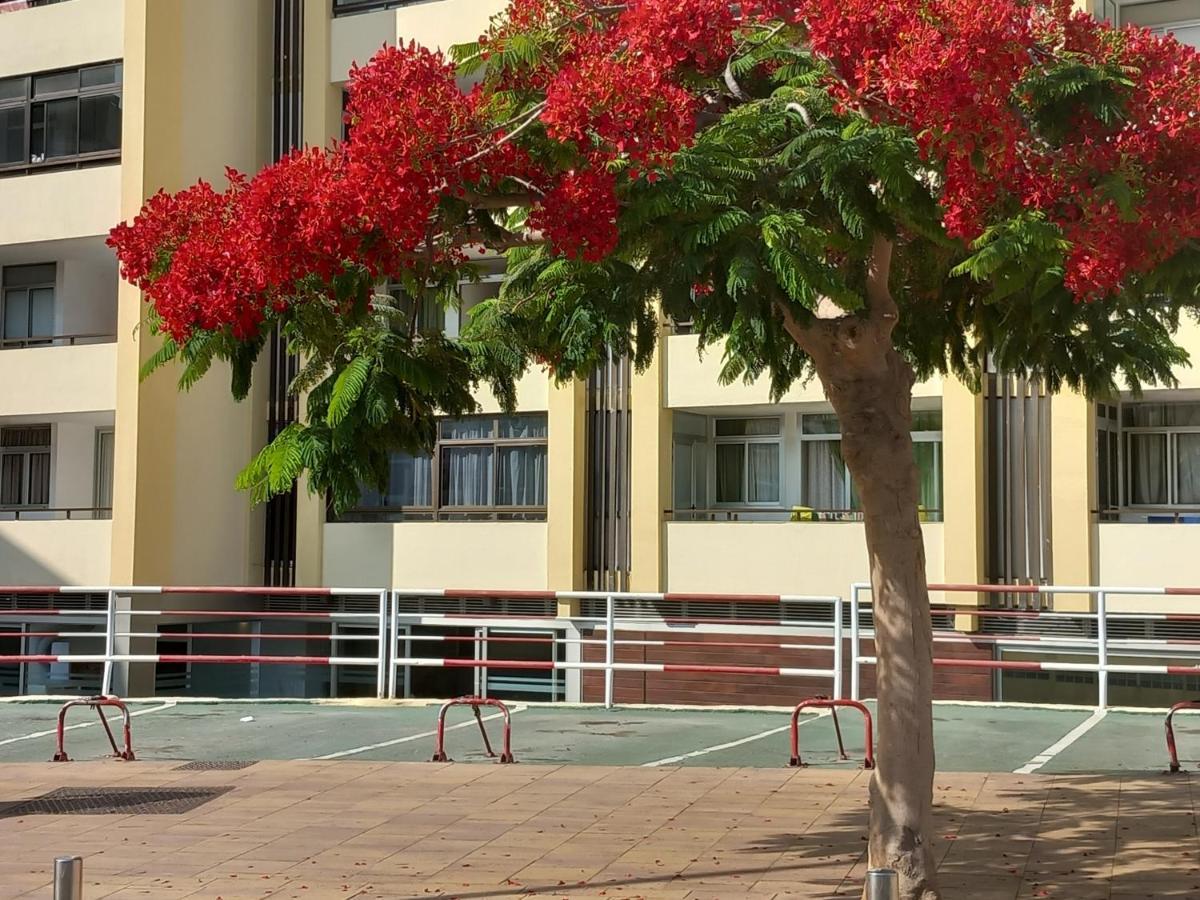 Tropical House Near Beach&Yumbo San Bartolomé Kültér fotó